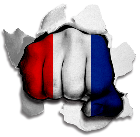 Fist France Flag Logo vinyl decal